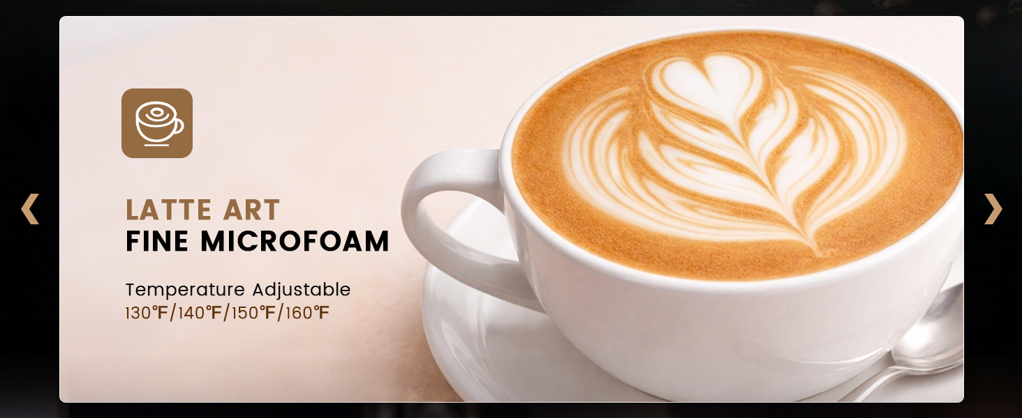 Electric Milk Frother