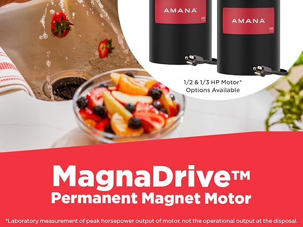 Cleaning a cutting board in a kitchen sink. ½ and 1/3 HP garbage disposal are shown by the sink.