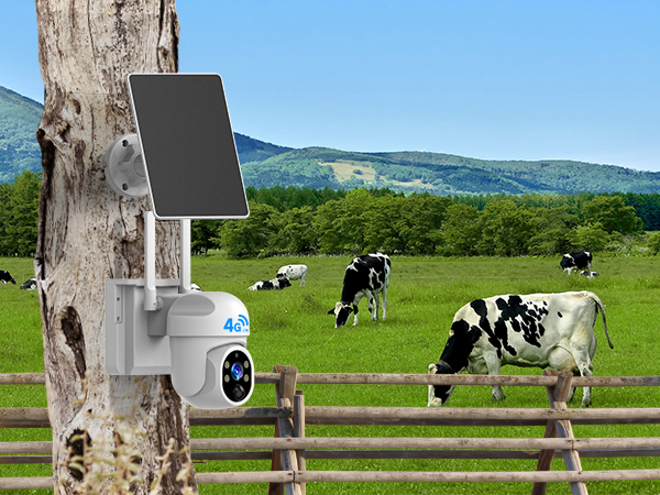 wireless camera no internet needed