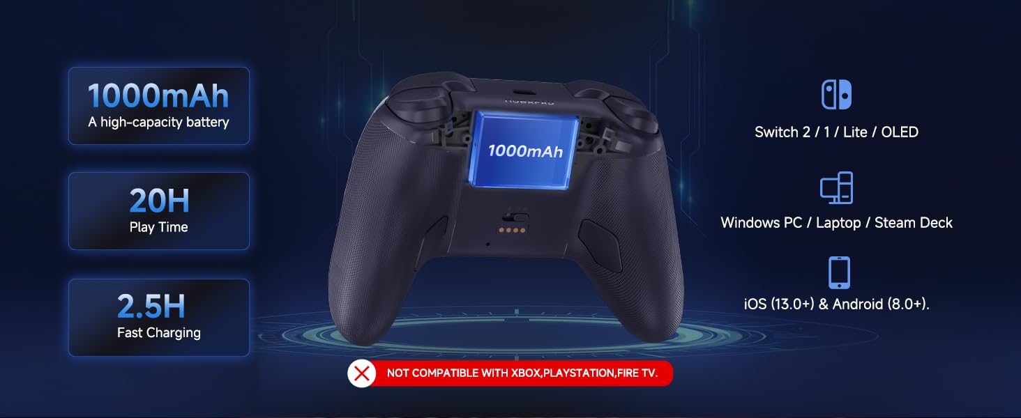 switch 2 pro controller