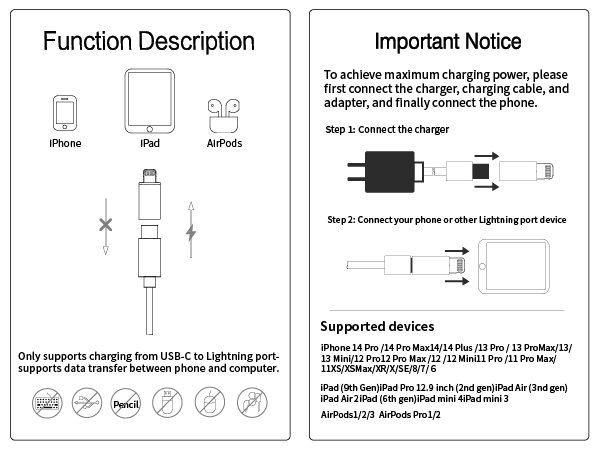 USB Type C Male to Lightning Female Converter 