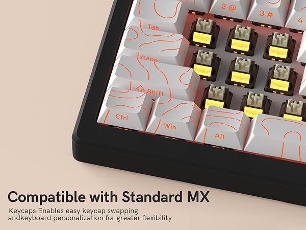 Engineered for Excellence