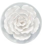 Passive Diffuser for Essential Oil-Ceramic Diffuser Non Electric Oil Diffusers for Small Mini Roo...