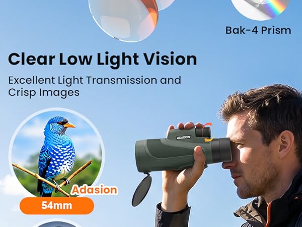 Clear Low Light Vision