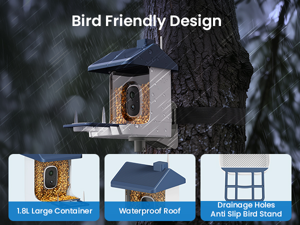 Bird Friendly Design