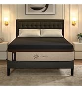 Zinus Lumbar+ Premium 14 Inch Memory Foam Mattress, Lumbar Support, Targeted Pressure Relief, Coo...