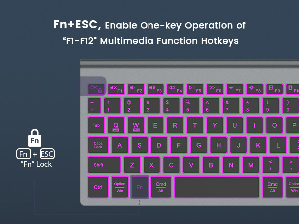 12 shortcut fn lock multimedia function