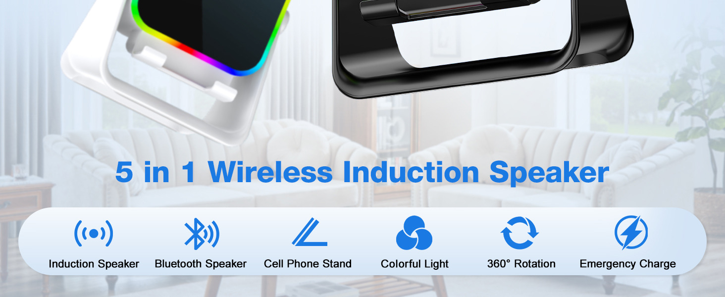 Wireless Induction Speaker