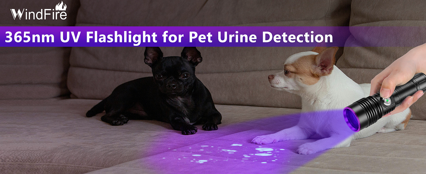 urine detector light