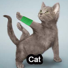cat vet tape