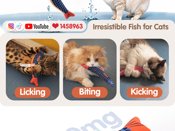 cat toy
