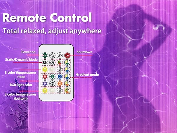 remote control