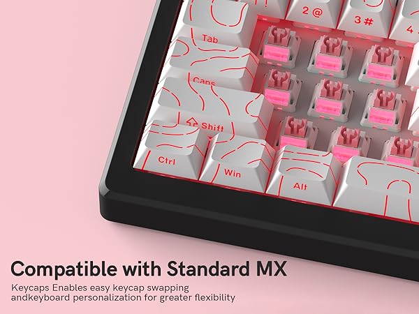 Engineered for Excellence