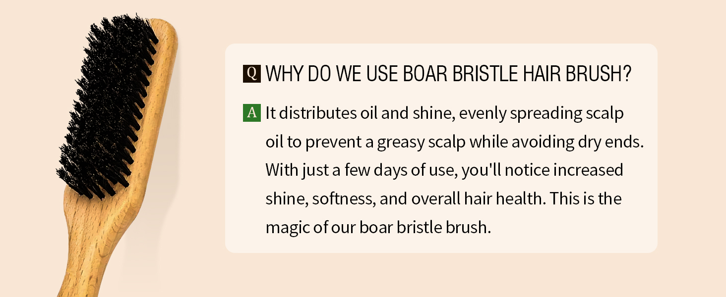 bristle brush