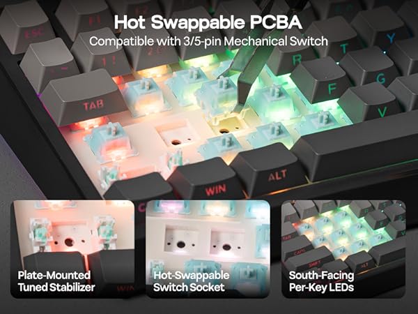 Text reads 'Hot Swappable PCBA' and 'Compatible with 5-pin Mechanical Switch'. Circuit board with RGB lighting effects visible underneath mechanical switches.