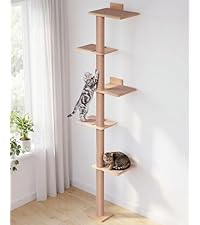 https://m.media-amazon.com/images/I/41QYDuXsepL.__AC_SR200,225___.jpg