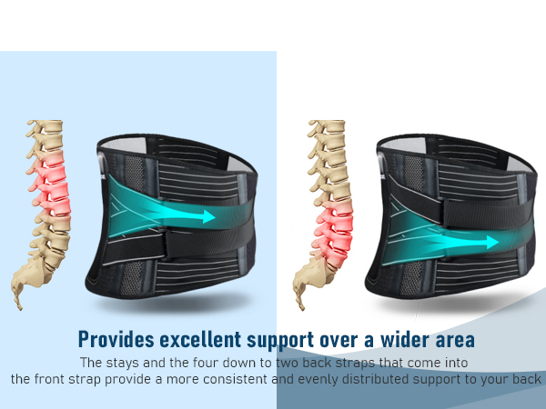 lower back pain brace