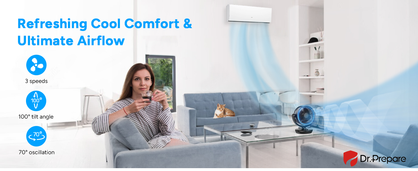 Oscillating Air Circulator Fan