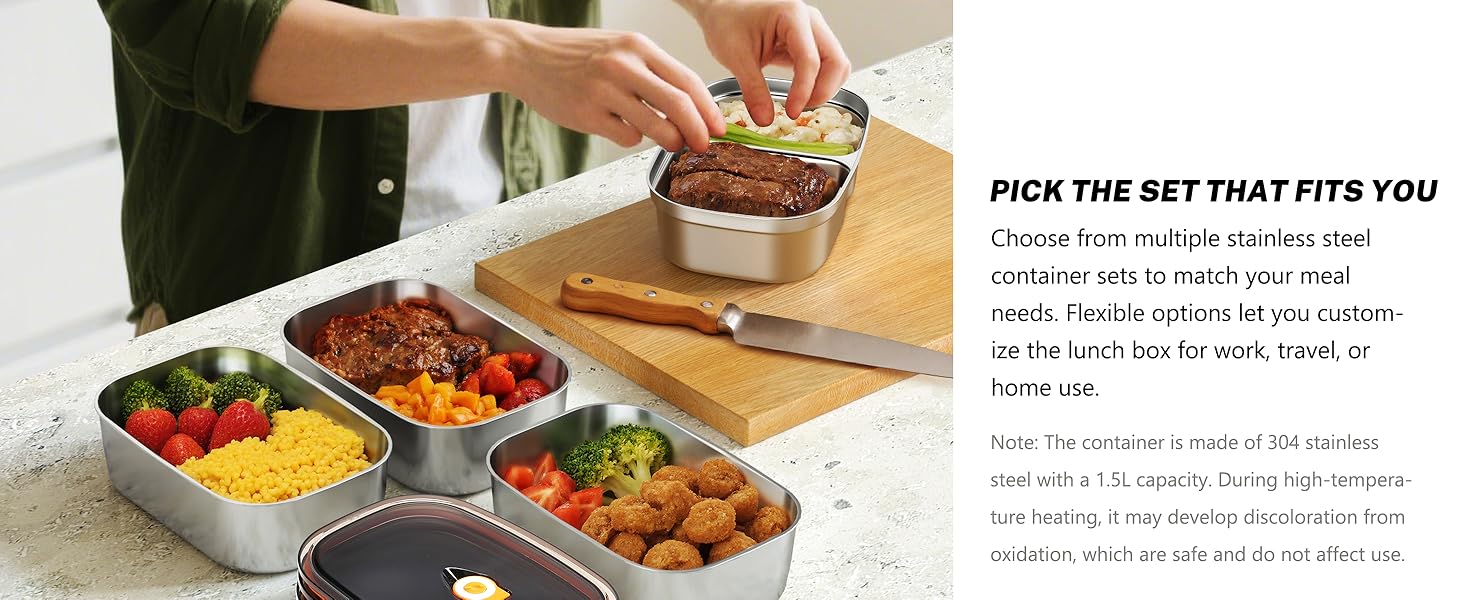 portable electric lunch box