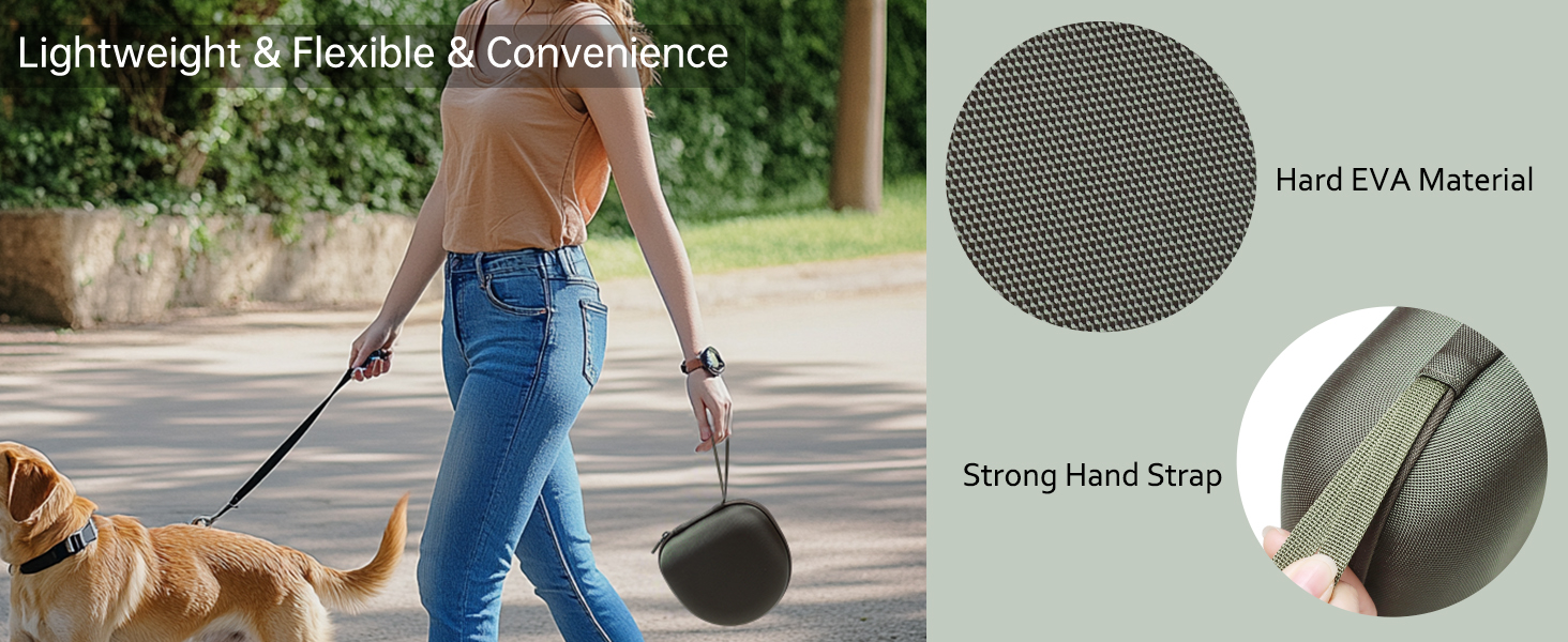 jbl headphone case