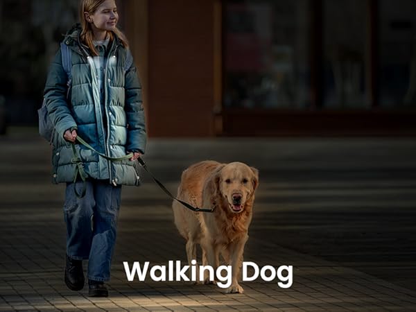 walking dog
