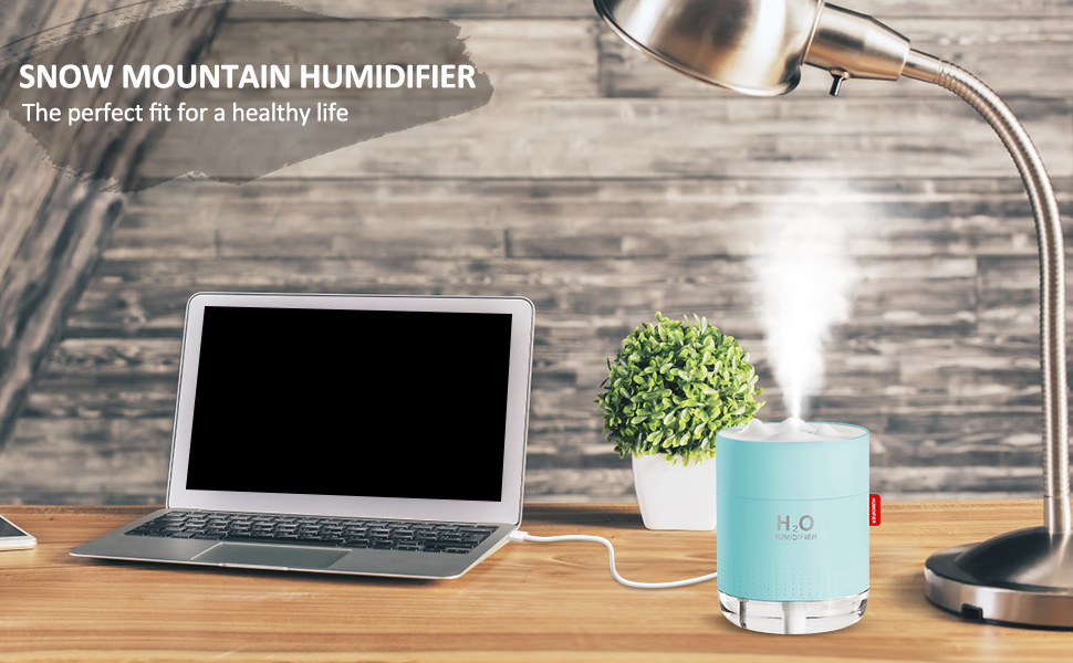 Portable Humidifier