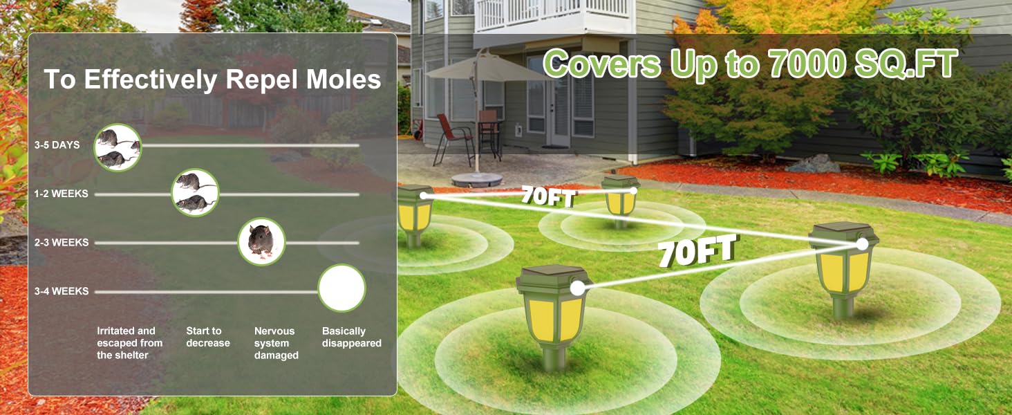 COVERS UP TO 7000 SQFT