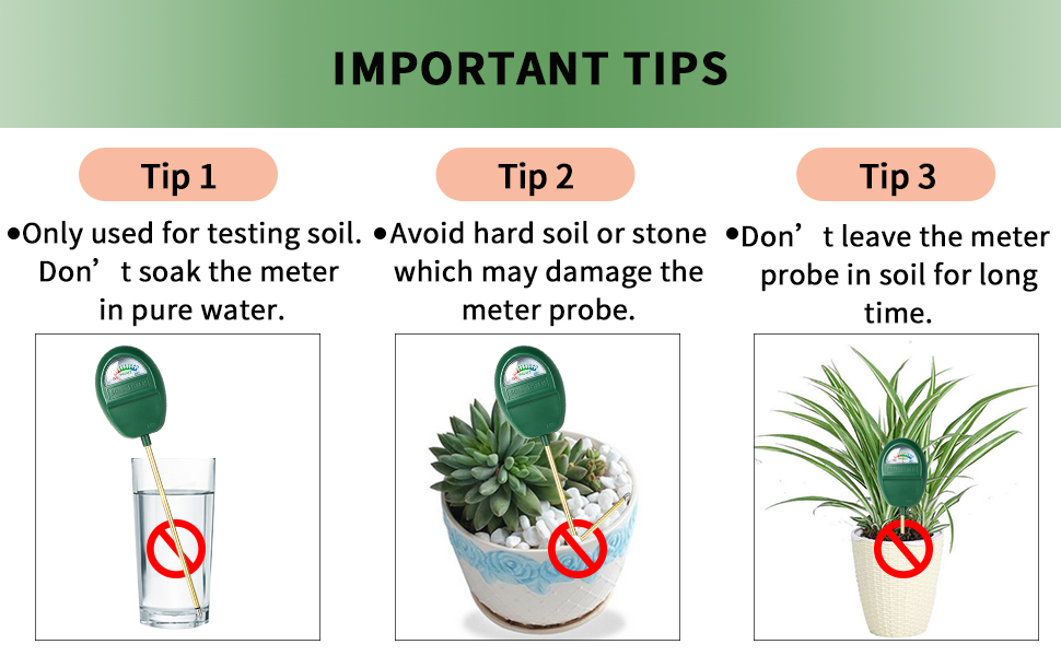 important tips