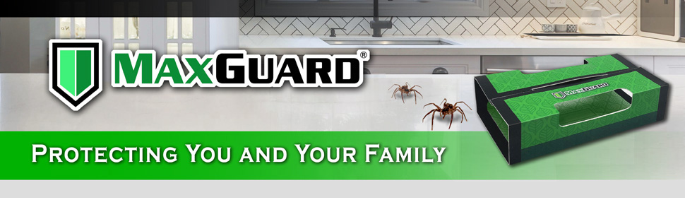 Spider Traps