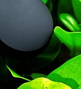Close-up artistic photograph of a dark spherical object against vibrant green leaves, creating a dramatic contrast between light and shadow.