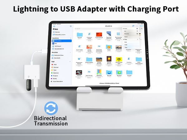 lightning to usb adapter