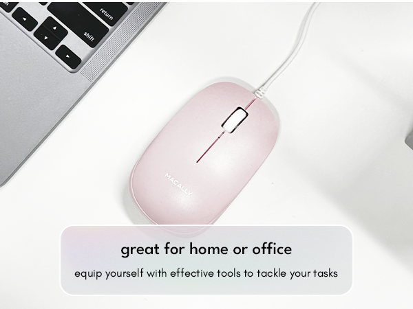 mouse