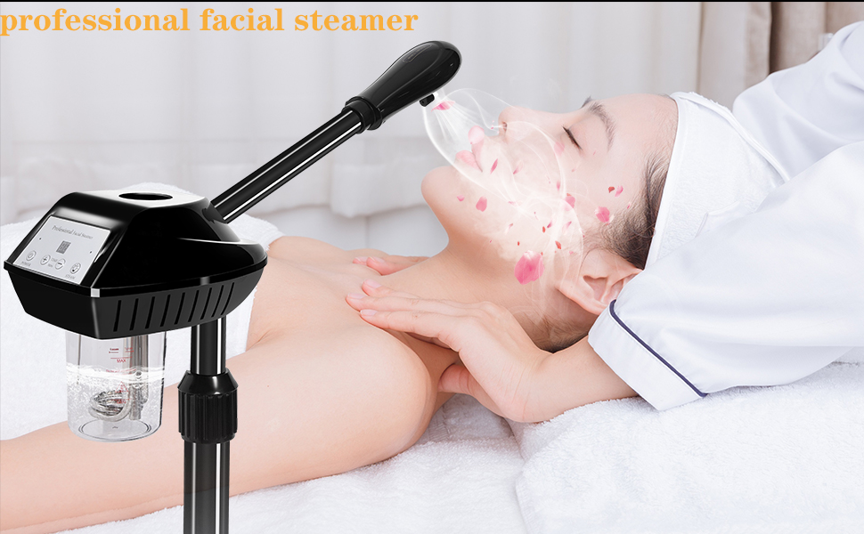 professional facial steamer