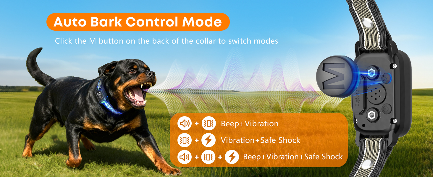 dog training collar