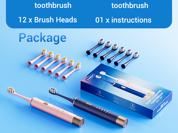 Blue &amp;amp; Pink Electric Toothbrush for Adults, USB Rechargeable Sonic Toothbrush with 12 Brush Heads