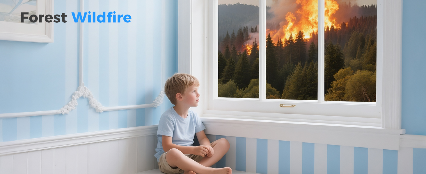 Air Purifiers for Smoke