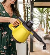 steam cleaner