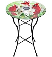 DREAM GARDEN Glass Bird Baths, Outdoor Large Birdbaths, Cardinal
