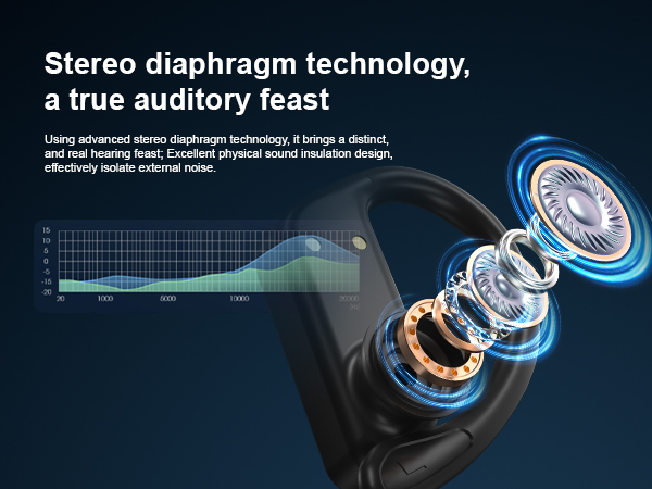 Stereo diaphragm