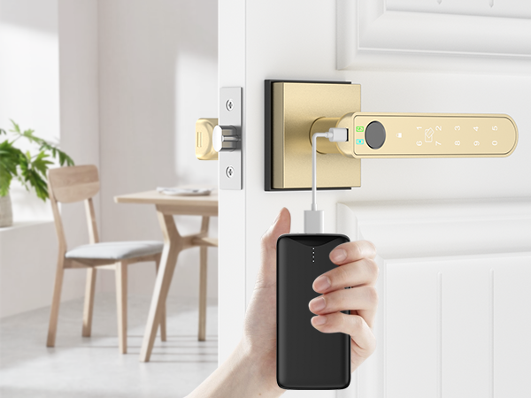 gold smart door handle