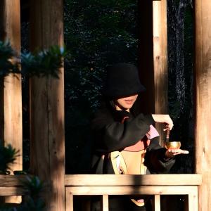 Series of nighttime window photos showing holiday or Christmas tree lights glowing inside, creating warm ambient lighting through window panes.