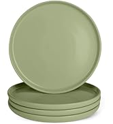 Basics Glazed Stoneware Dinner Plates, Ceramic 4-Piece Set, Microwave and Dishwasher-Safe,...