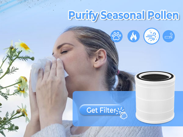 hepa air purifiers for home