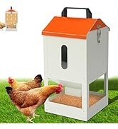 Galvanized Wall Mount Chicken Feeder No Waste Hanging Chicken Feeder with Lid Metal Automatic Pou...