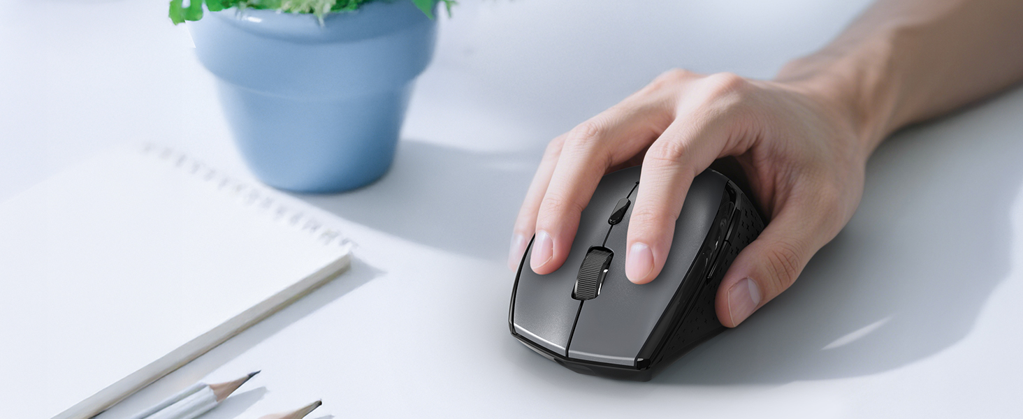 mouse