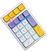 BOYI TD21 Hot Swap Numpad,21 Keys Mini Numpad Portable Keypad Bluetooth5.0/2.4G/Wired Number Pad ...