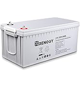 Renogy Deep Cycle AGM Battery 12 Volt 200Ah, 3% Self-Discharge Rate, 2000A Max Discharge Current,...