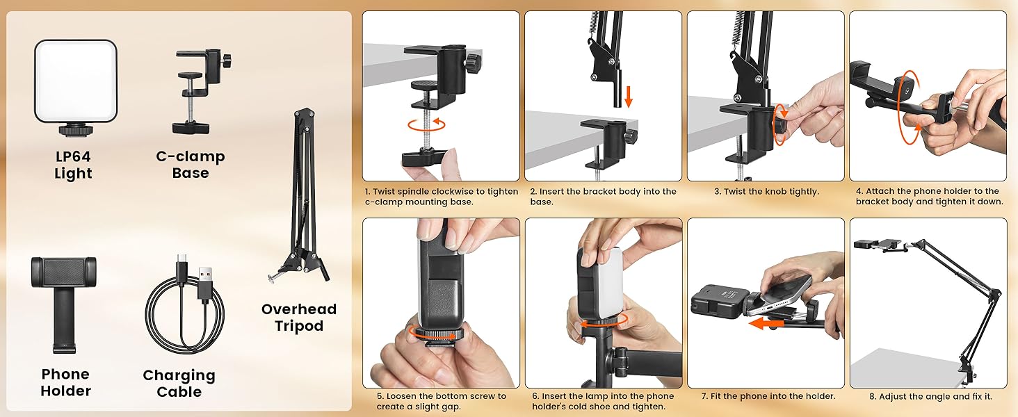 Overhead Phone Mount with Light