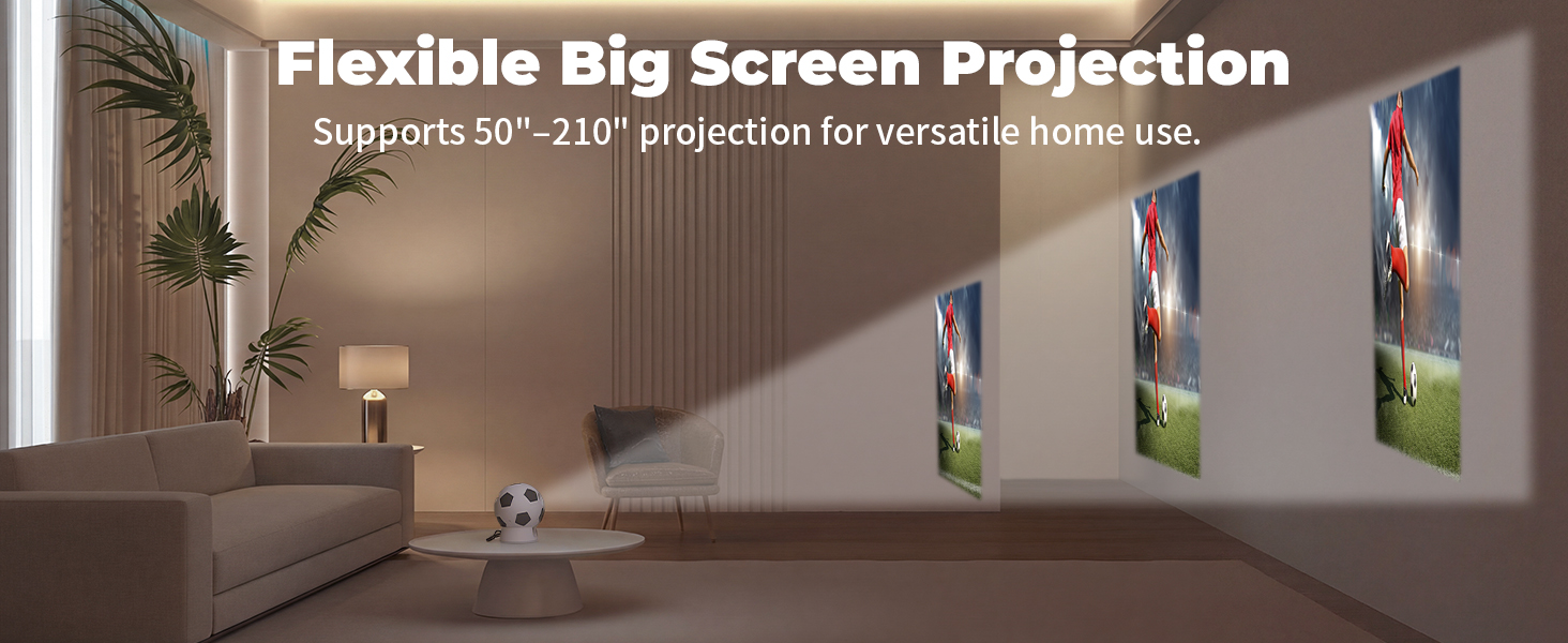 mini projector