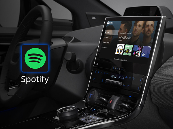 OTTOCAST Play2Video Pro